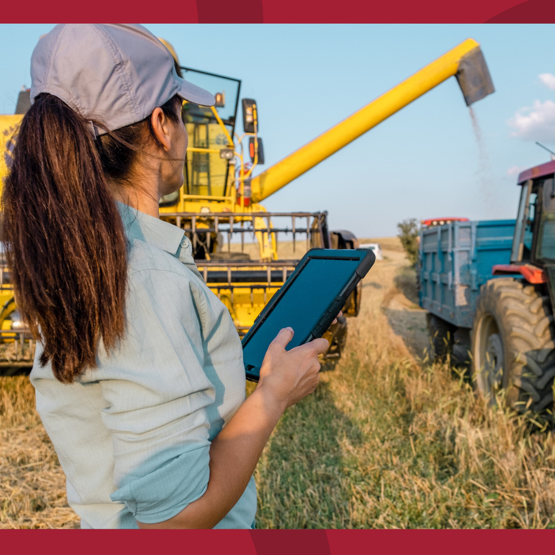 A woman is in the field with an tablet while watching grain being deposited into a truck.